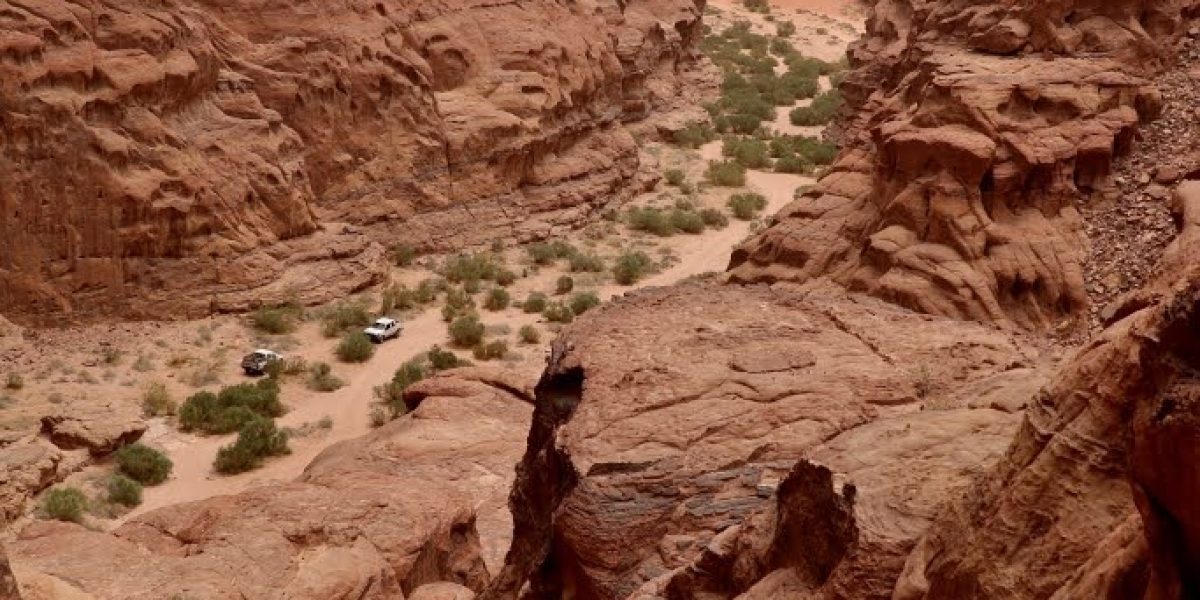 WhatsApp Image 2022-07-23 at 10.53.03 (1)