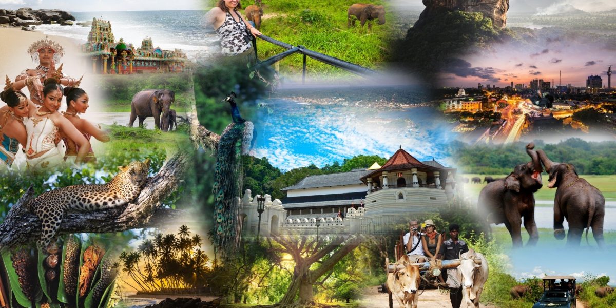 קולאז סרי לנקה